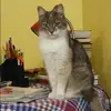 Отзыв от Алла Мальцева